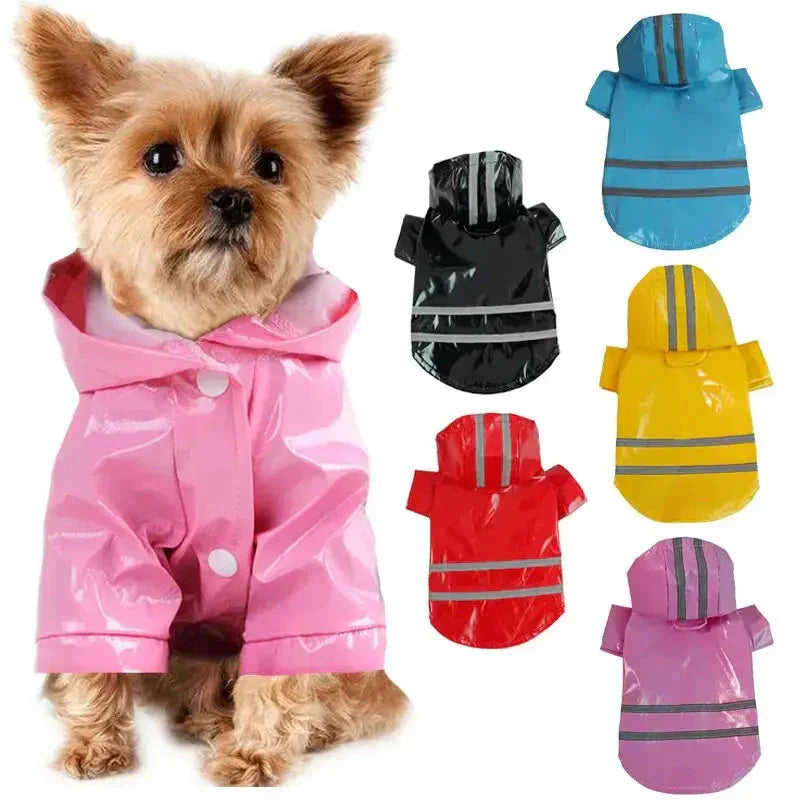 Petit manteau imperméable pour chien : un chien en manteau réfléchissant sous la pluie