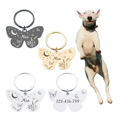 Chien sautant avec un anneau, portant un médaillon en acier inoxydable personnalisé pour Canine Compagnon Transparent Background