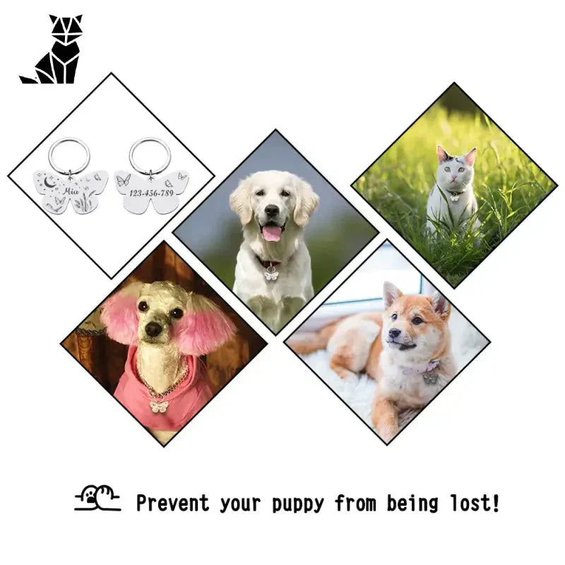 Tag personnalisé en acier inoxydable avec quatre photos de chiens pour votre compagnon canin