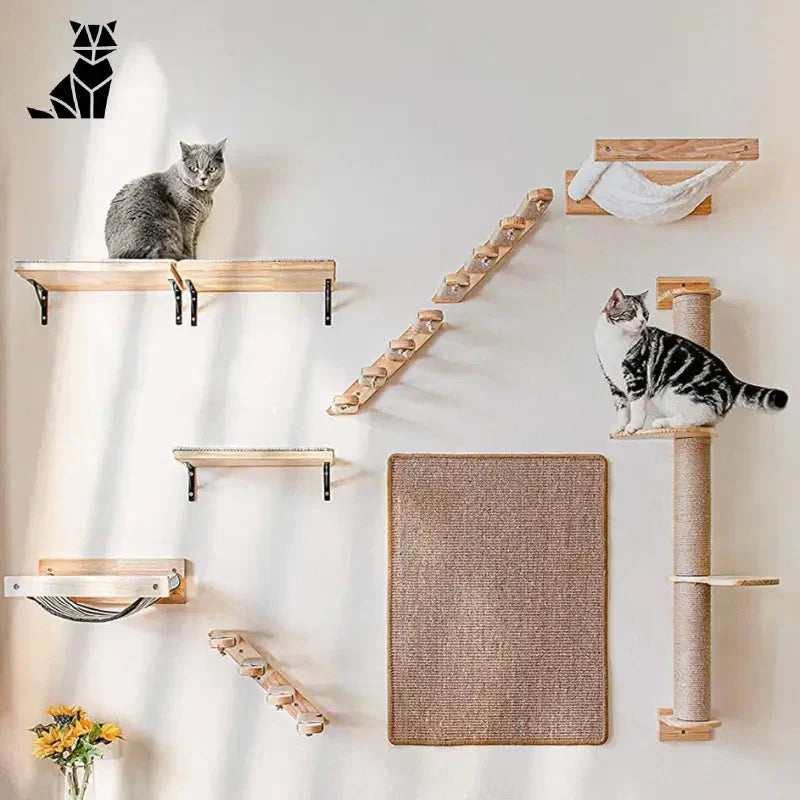 Mur d’escalade pour chat - Espace de jeu vertical unique pour chat avec escalade pour chat sur Mur Escalade