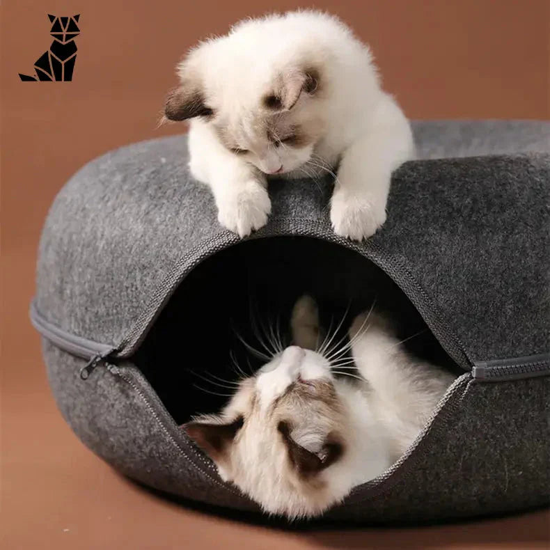 Deux chatons se reposant dans un lit pour chat Cozy Cat Kennel, douillet et polyvalent