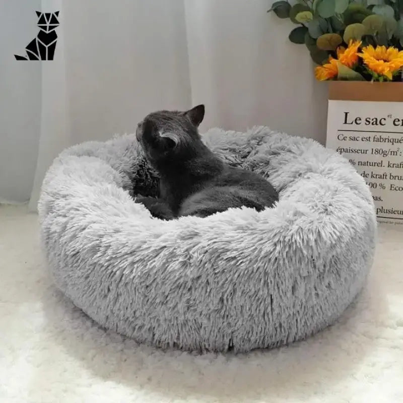 Offrez à Votre Chat Un Panier Confort Pour Un Sommeil Réparateur