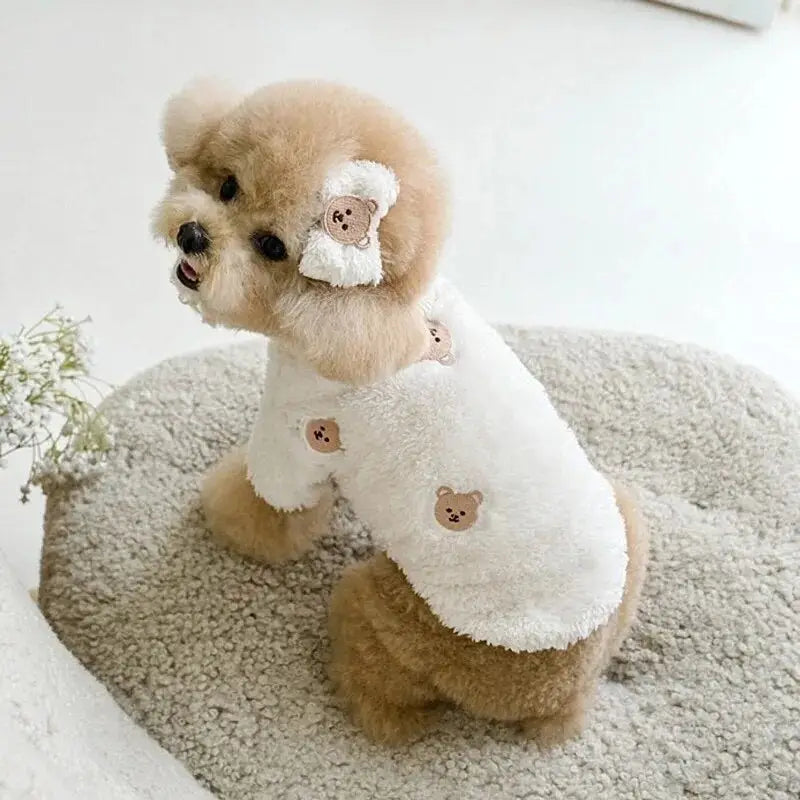 Petit chien en pull polaire assis sur un tapis avec des animaux en peluche