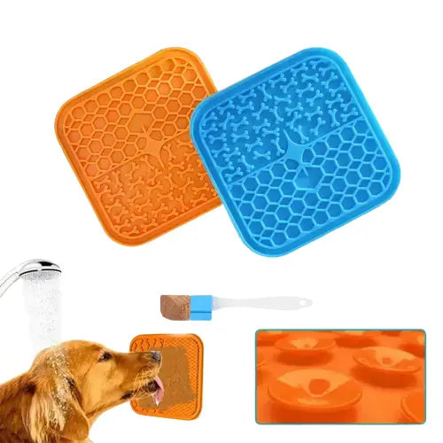 Chien utilisant un tapis pour se nourrir lentement, buvant de l’eau à partir d’une bouteille en plastique Transparent Background