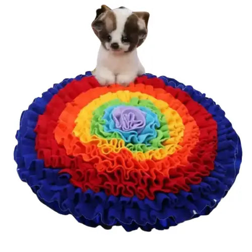 Petit chien assis sur un coussin arc-en-ciel - Tapis de sensibilisation à l’olfaction pour chiens - Recherche Alimentaire Tapis Transparent Background