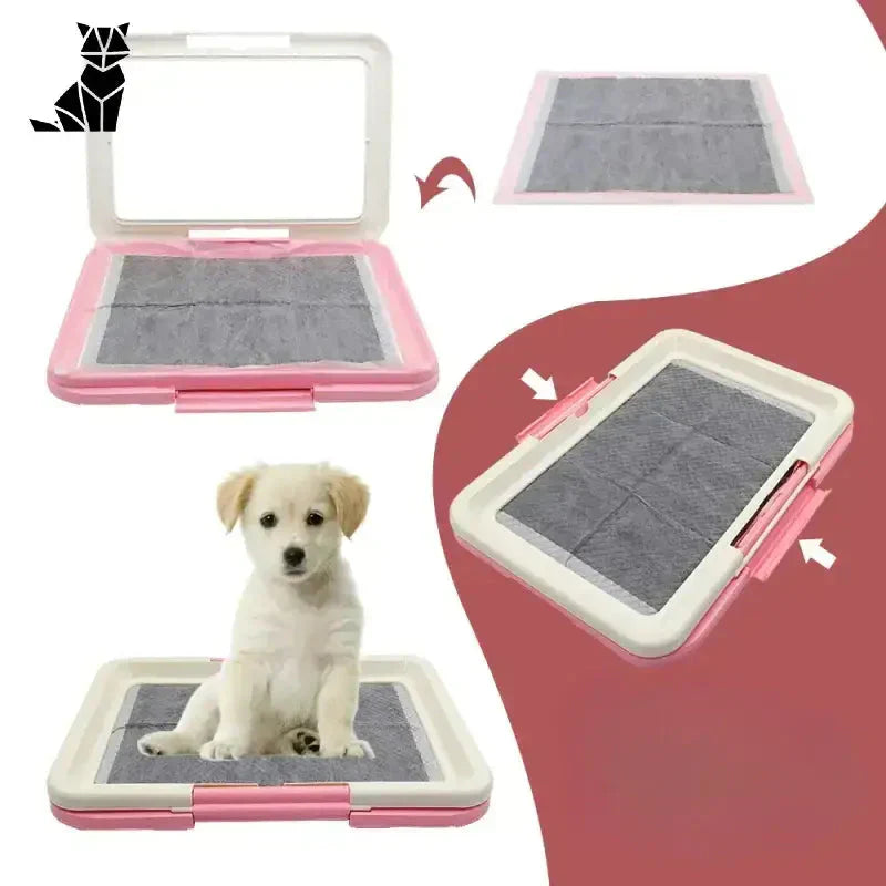 Toilette pour chien - Une solution pratique et hygiénique pour l’utilisation du chien à l’intérieur, conception légère