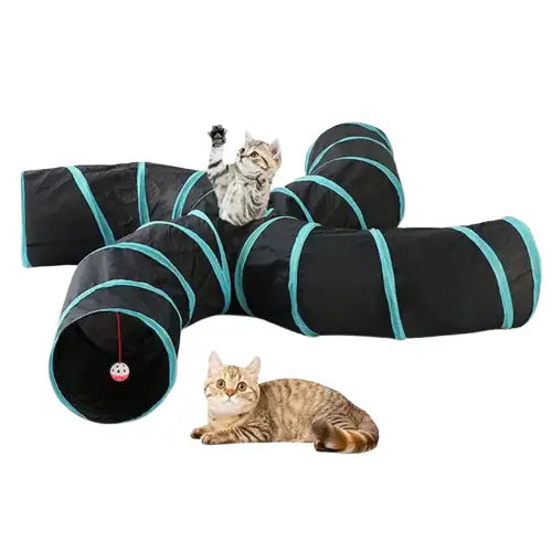 Tunnel de jeu pour chat noir et bleu, en nylon durable et amusant Transparent Background